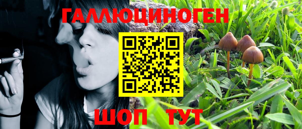 Псилоцибиновые грибы Psilocybe  Псилоцибиновые грибы Psilocybe  Вход с VPN  Орск 